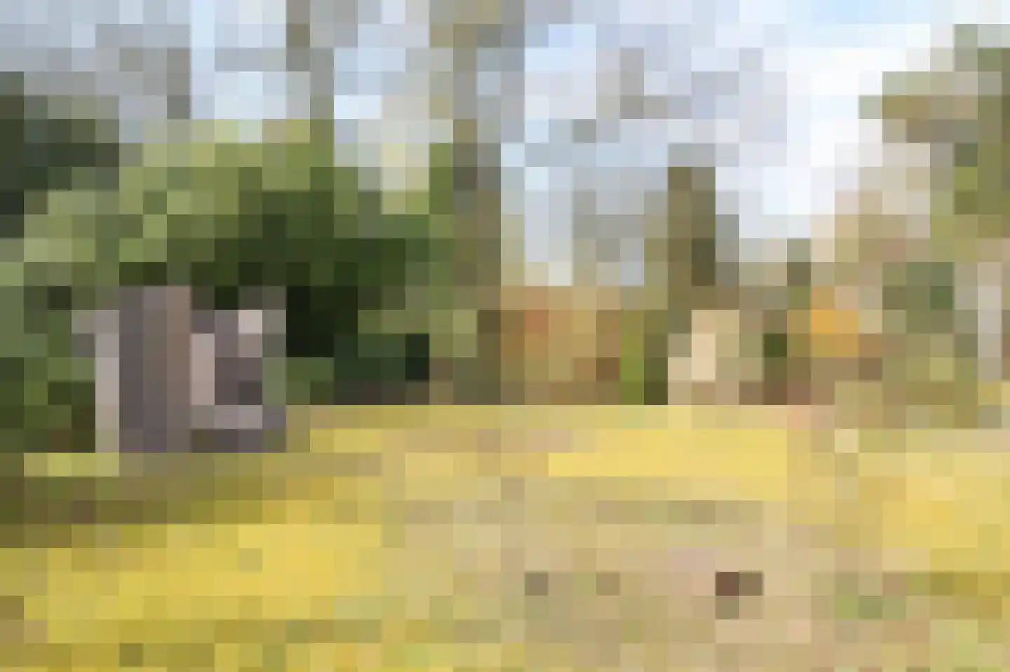 Kieftveen 30 63 Voorthuizen thumbnail 42