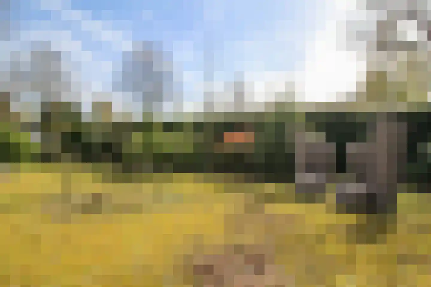 Kieftveen 30 63 Voorthuizen thumbnail 44
