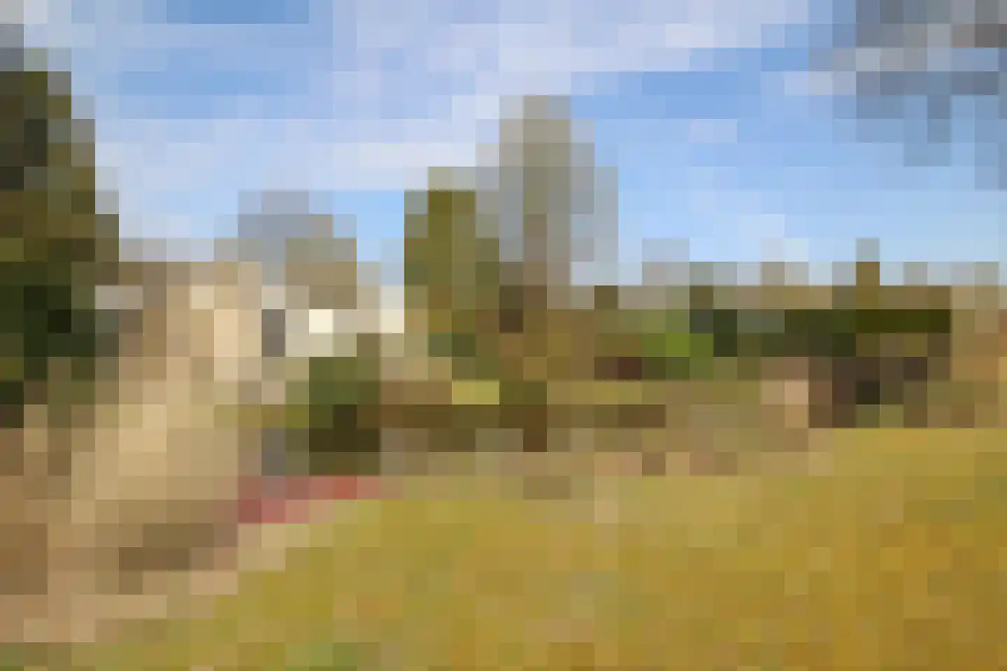 Kieftveen 30 63 Voorthuizen thumbnail 45