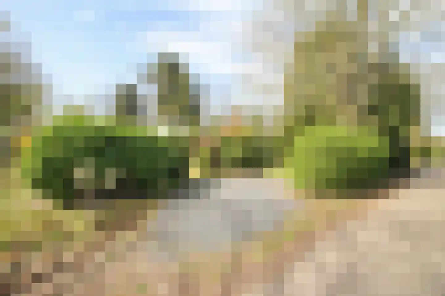 Kieftveen 30 63 Voorthuizen thumbnail 52