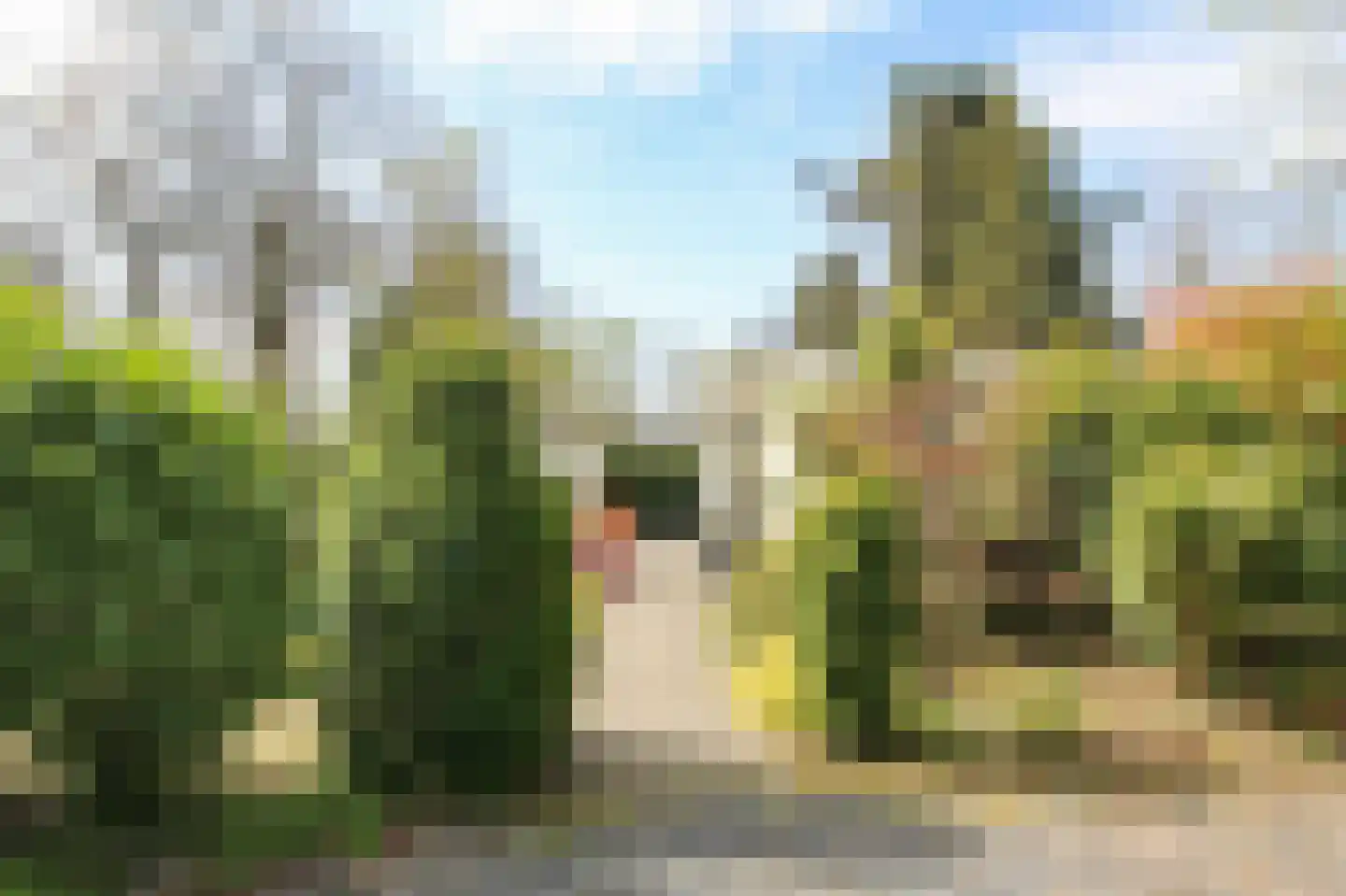 Kieftveen 30 63 Voorthuizen thumbnail 53