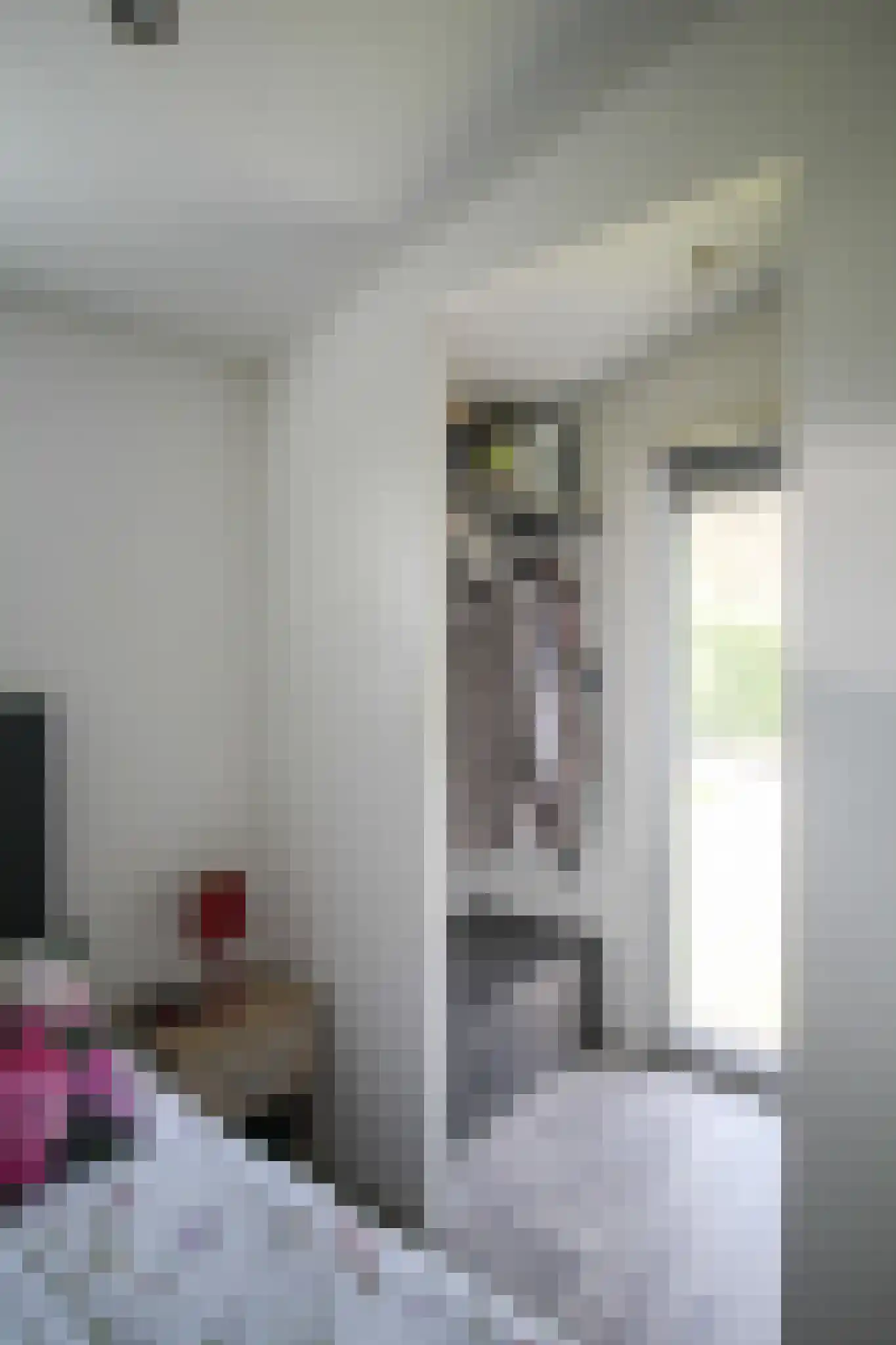 Kieftveen 30 67 Voorthuizen thumbnail 23