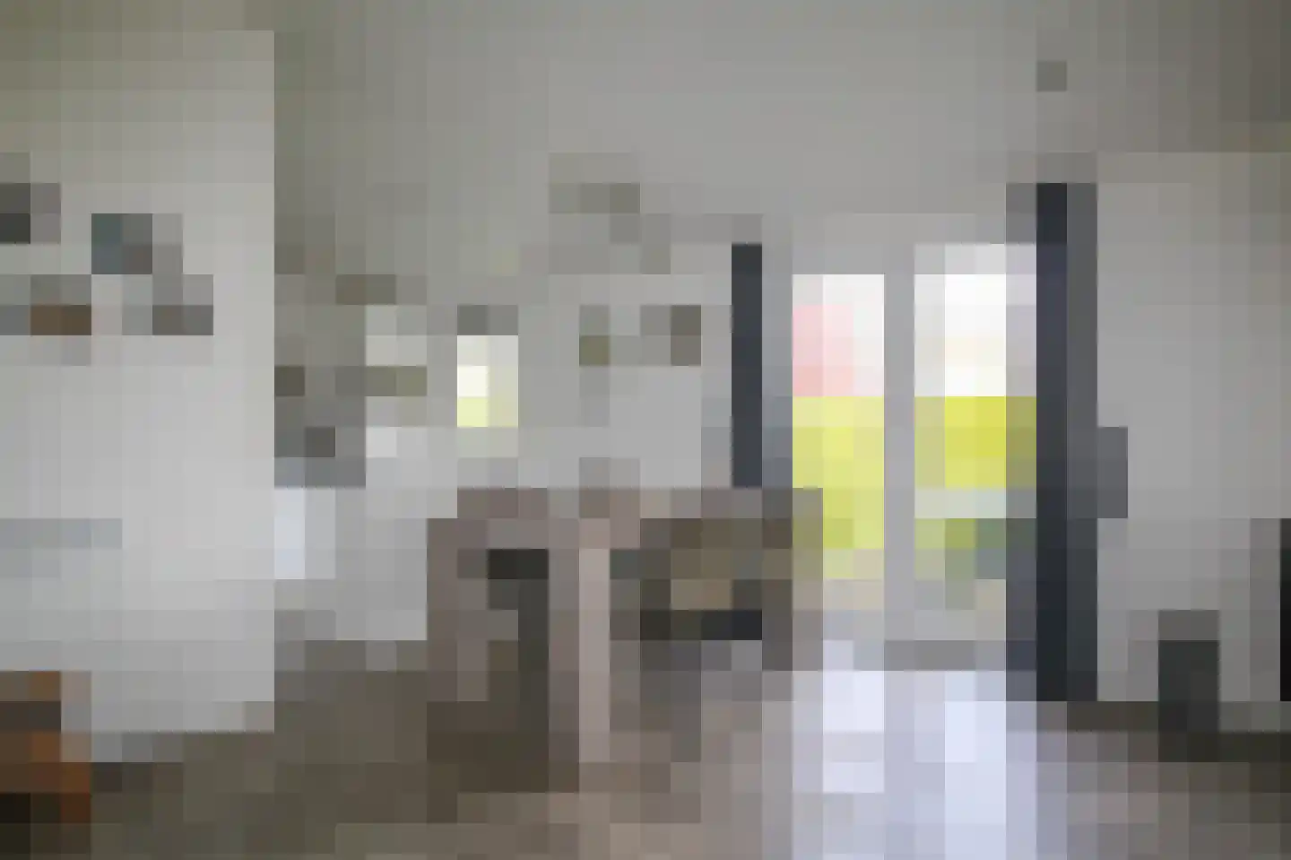 Kieftveen 30 67 Voorthuizen thumbnail 9