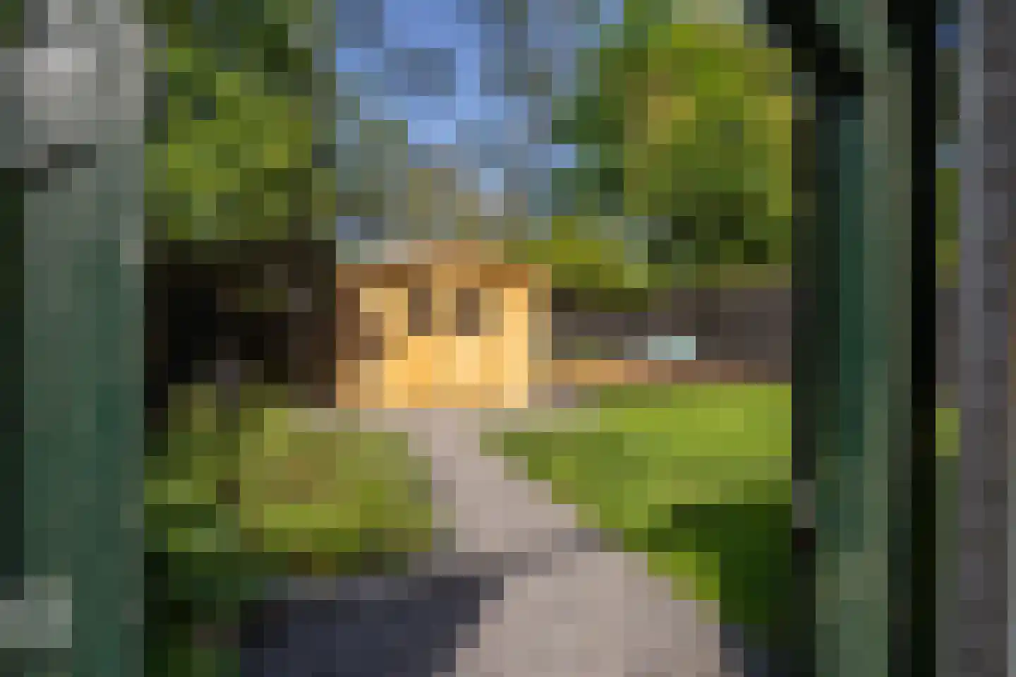 Kieftveen 30 807 Voorthuizen thumbnail 20