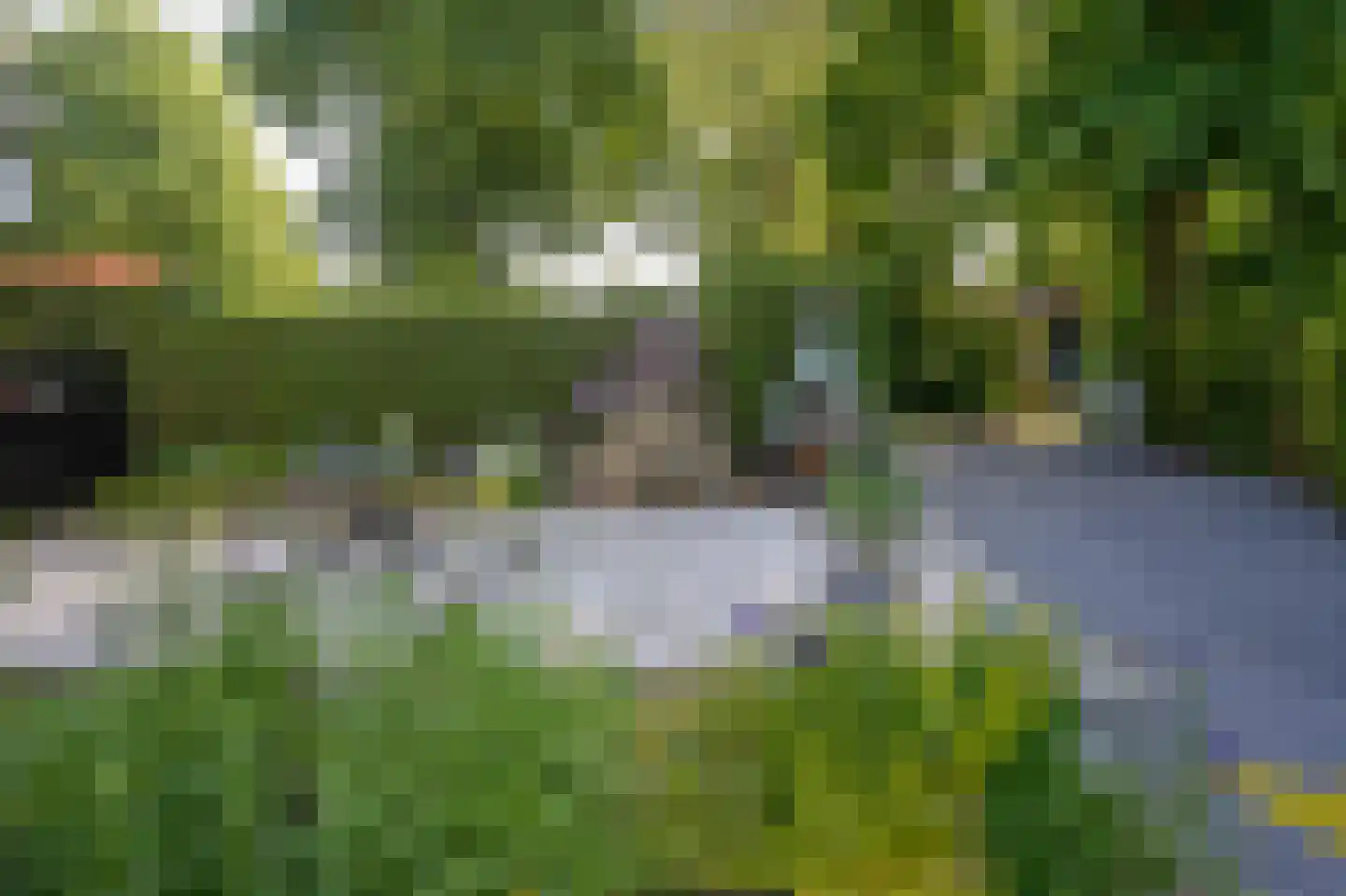 Kieftveen 30 807 Voorthuizen thumbnail 22