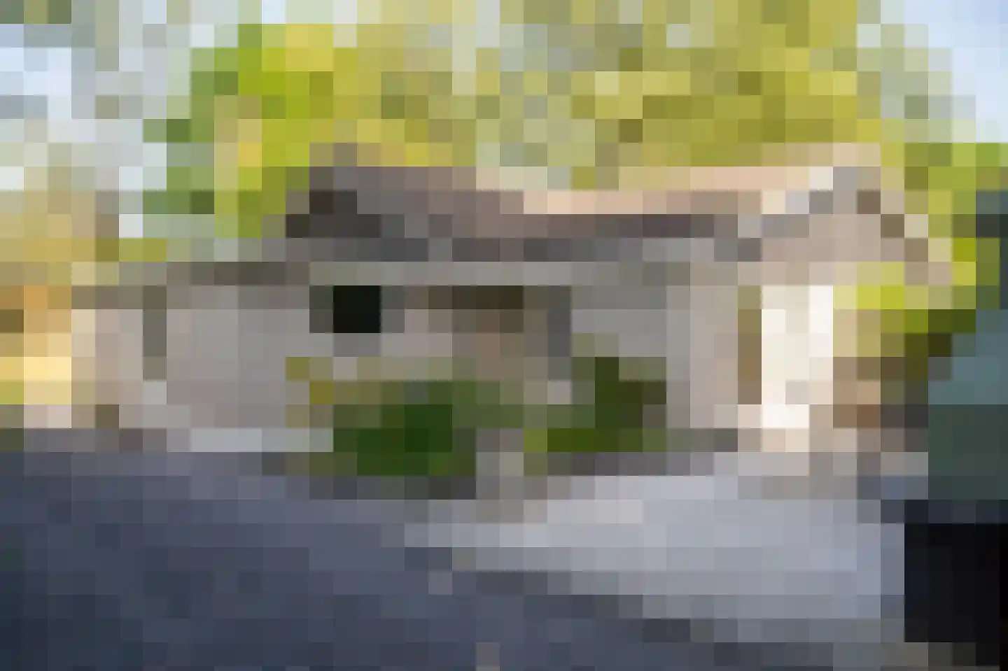 Kieftveen 30 807 Voorthuizen thumbnail 23