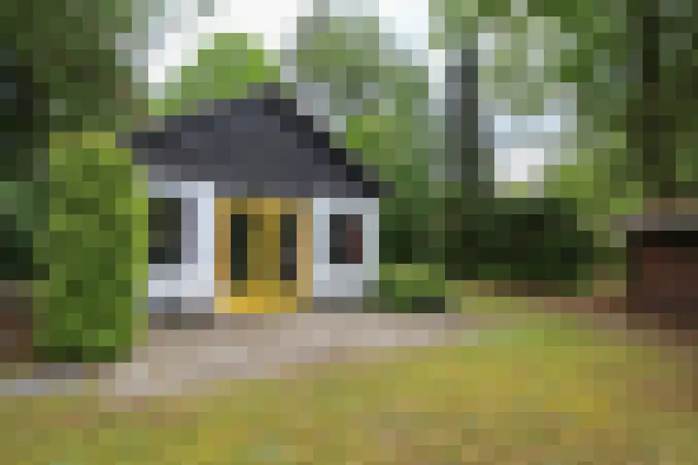 Kieftveen 30 814 Voorthuizen thumbnail 25