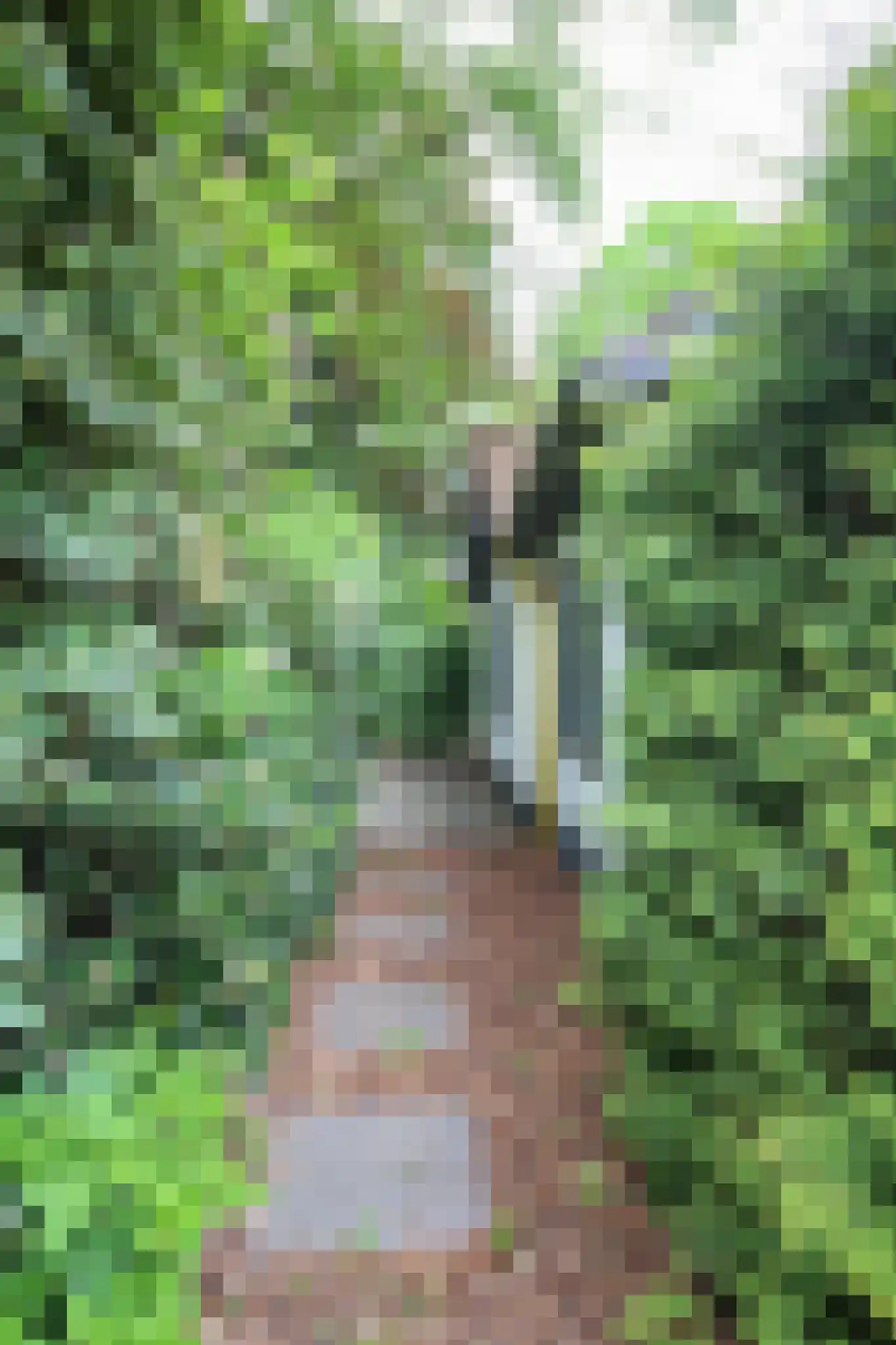 Kieftveen 30 814 Voorthuizen thumbnail 26