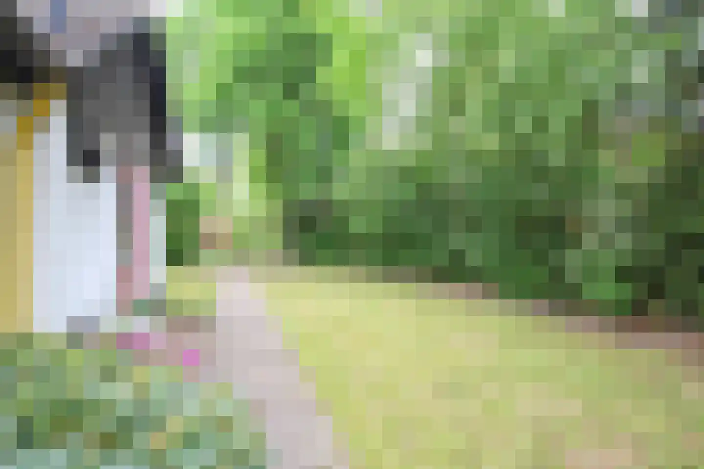 Kieftveen 30 814 Voorthuizen thumbnail 28