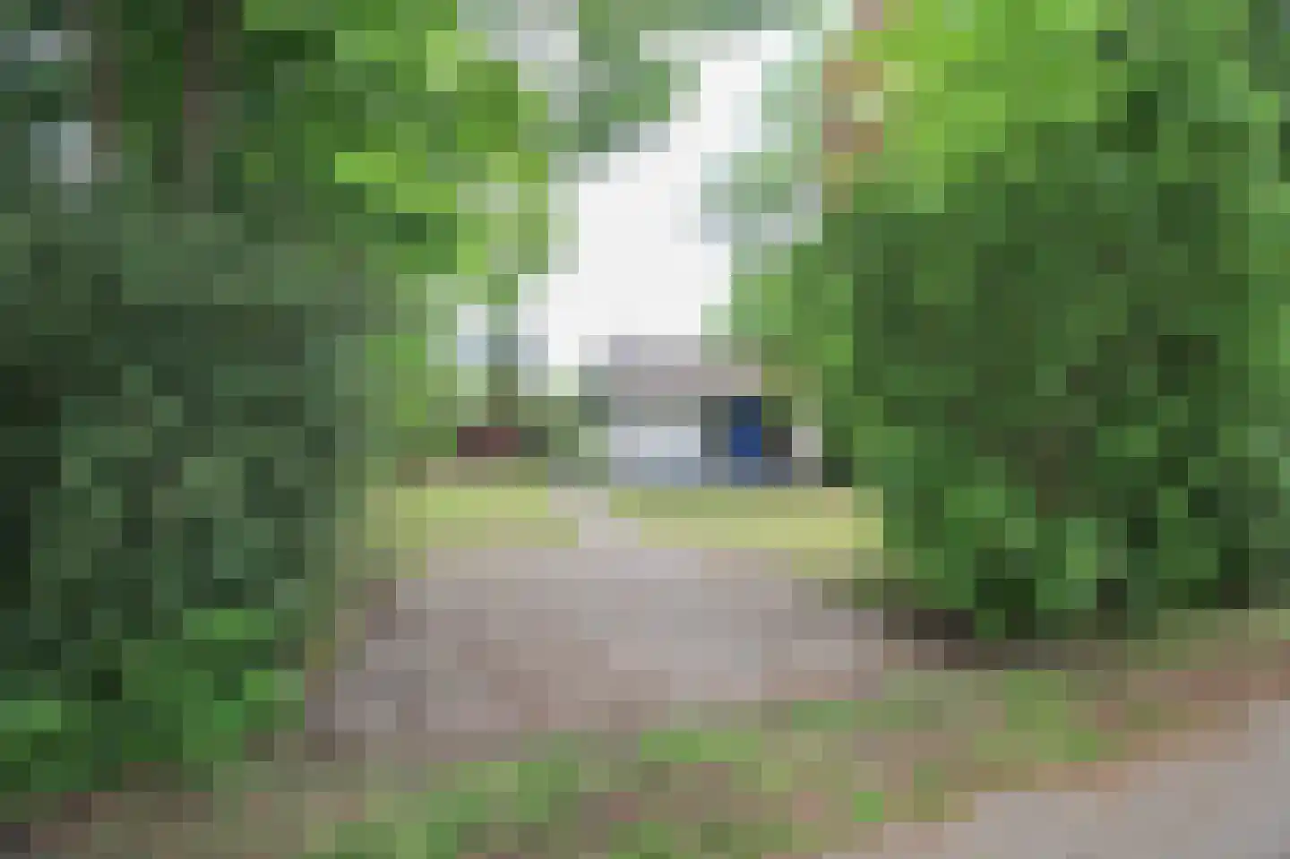 Kieftveen 30 814 Voorthuizen thumbnail 37