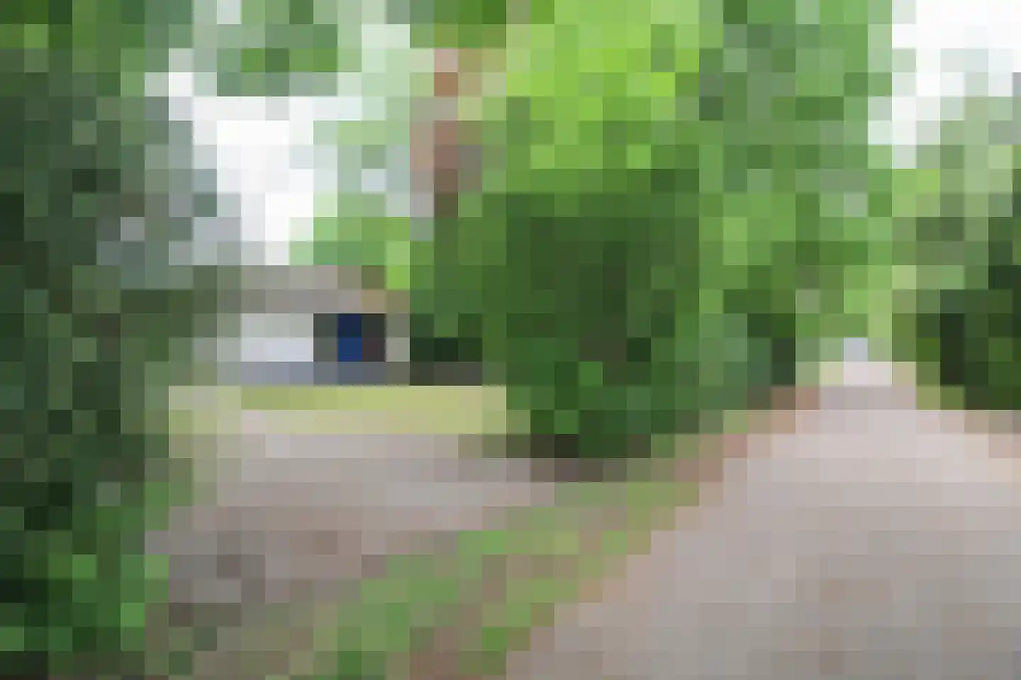 Kieftveen 30 814 Voorthuizen thumbnail 38