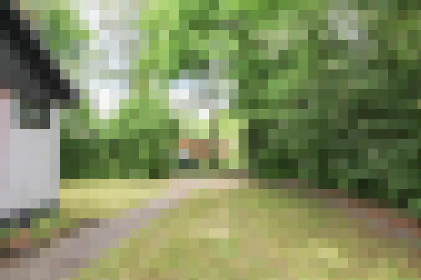 Kieftveen 30 814 Voorthuizen thumbnail 39