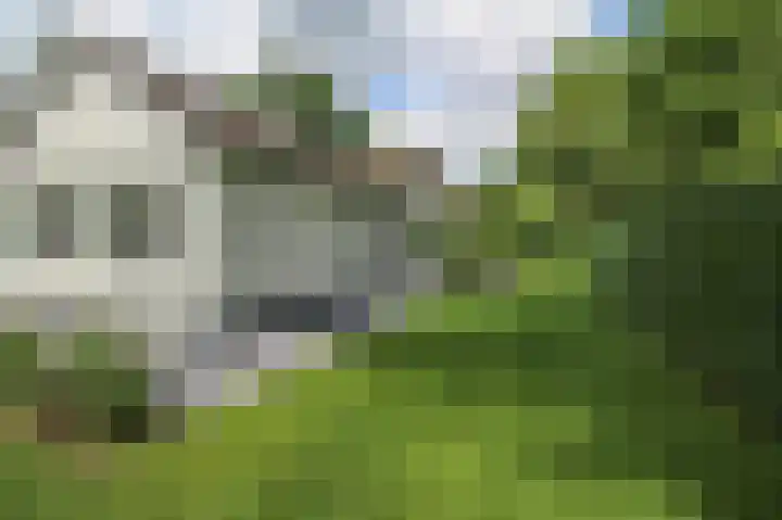 Kieftveen 30 821 Voorthuizen thumbnail 33