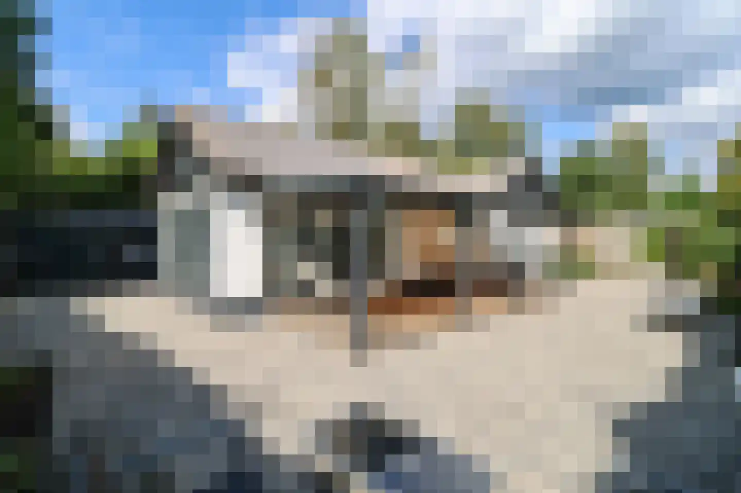 Kieftveen 30 837 Voorthuizen thumbnail 41