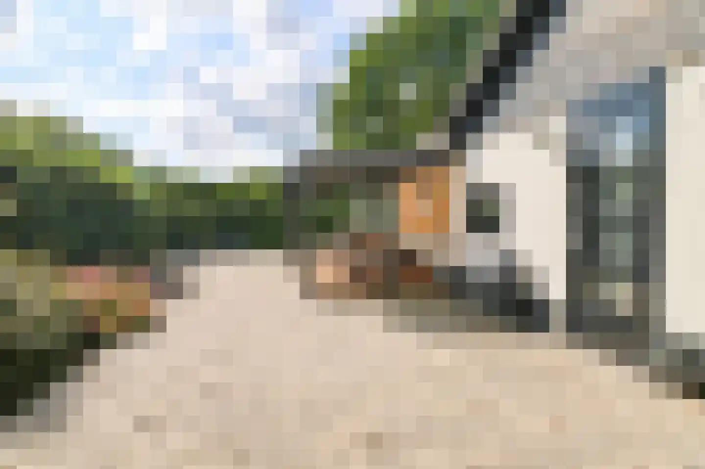 Kieftveen 30 837 Voorthuizen thumbnail 44