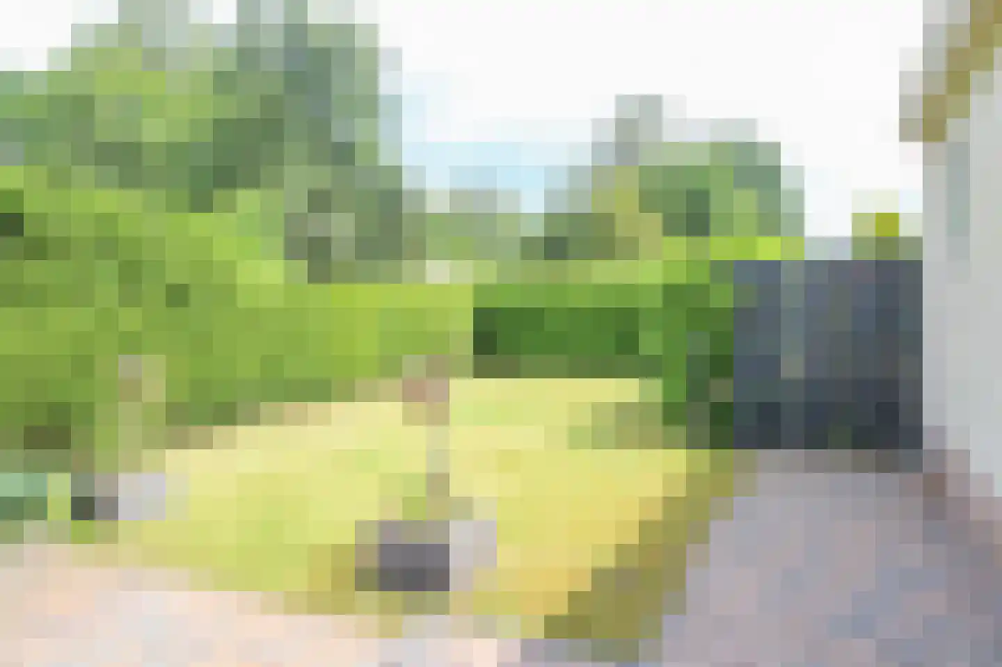 Kieftveen 30 844 Voorthuizen thumbnail 23