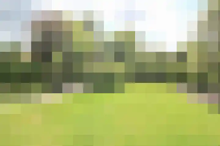 Kieftveen 30 845 Voorthuizen thumbnail 30