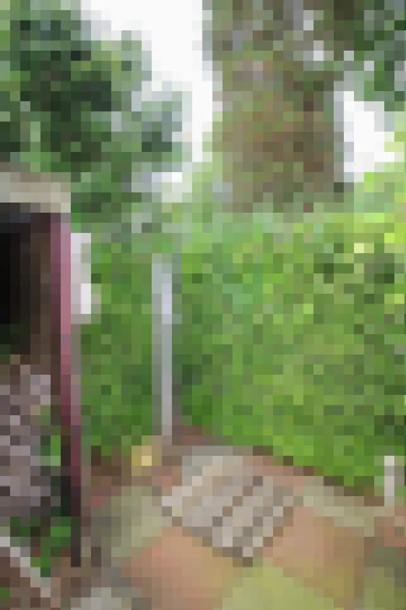 Kieftveen 30 847 Voorthuizen thumbnail 22