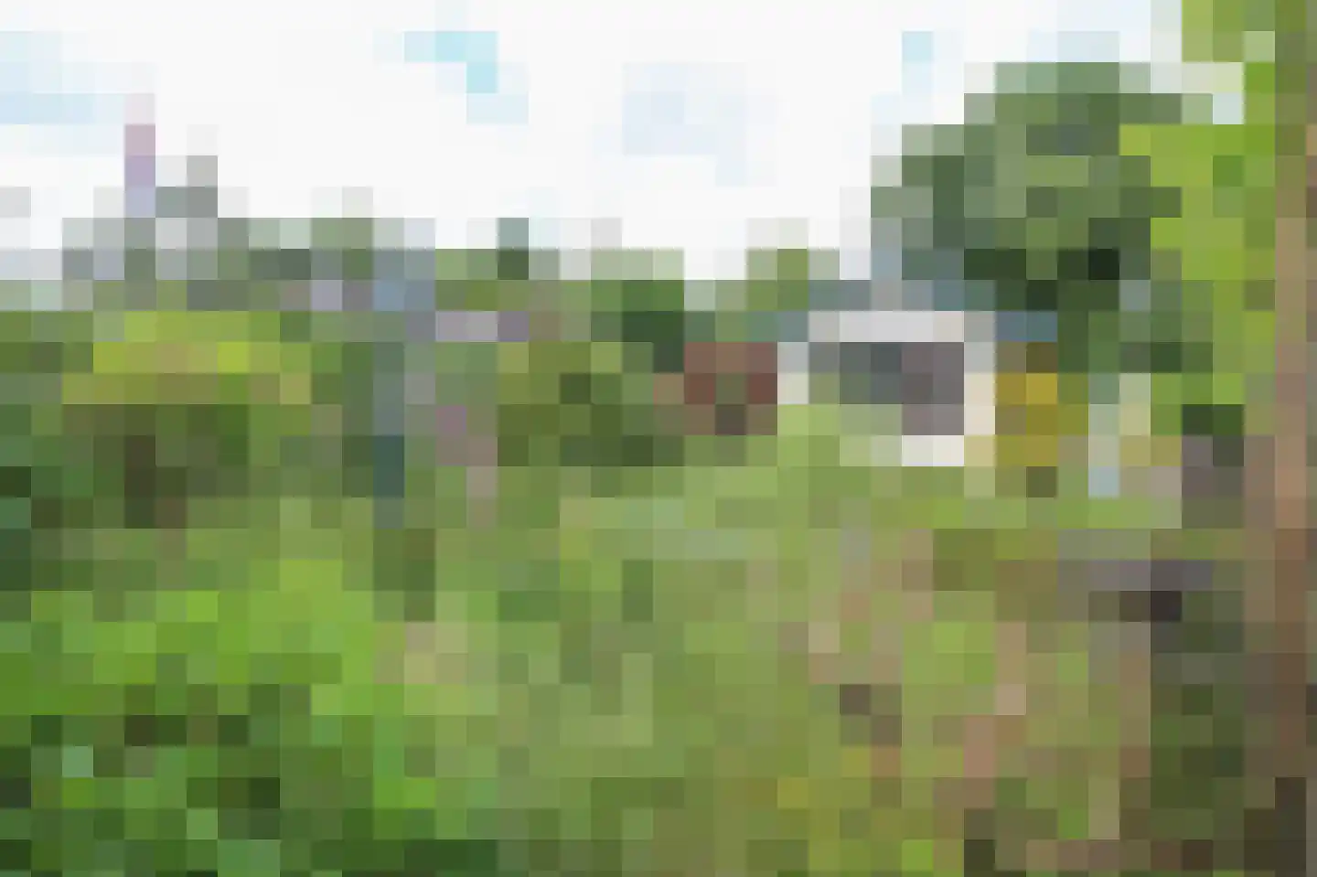 Kieftveen 30 847 Voorthuizen thumbnail 25