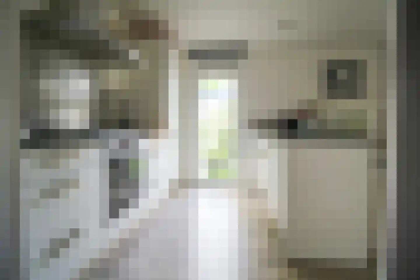 Kieftveen 30 92 Voorthuizen thumbnail 12