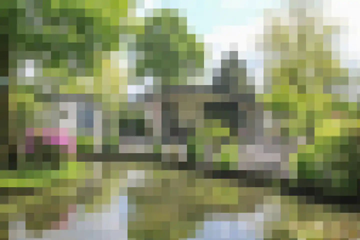Kieftveen 30 92 Voorthuizen thumbnail 29