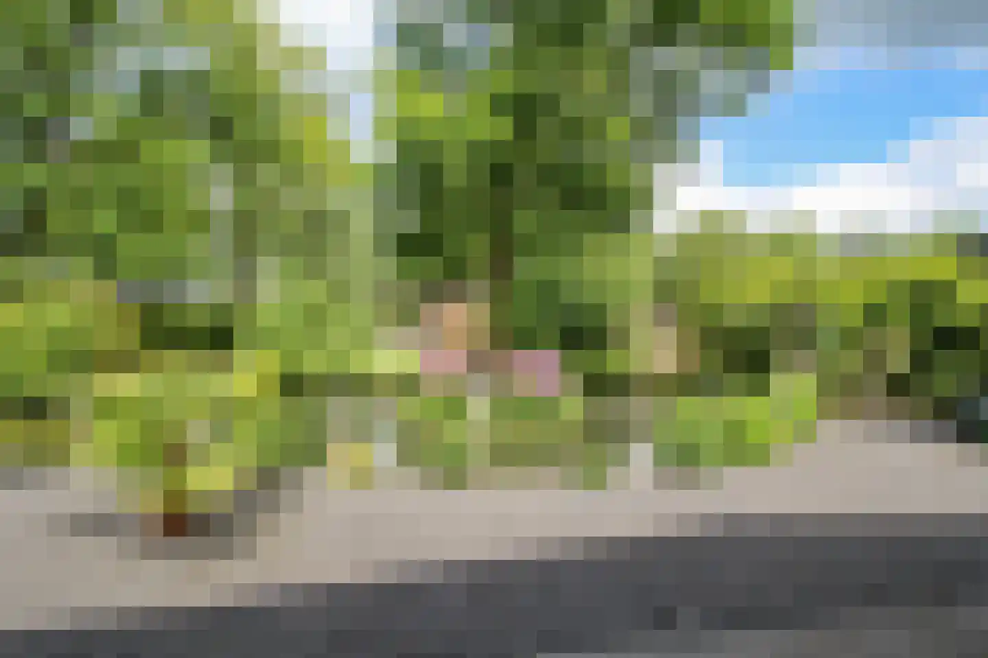 Kieftveen 30 92 Voorthuizen thumbnail 40