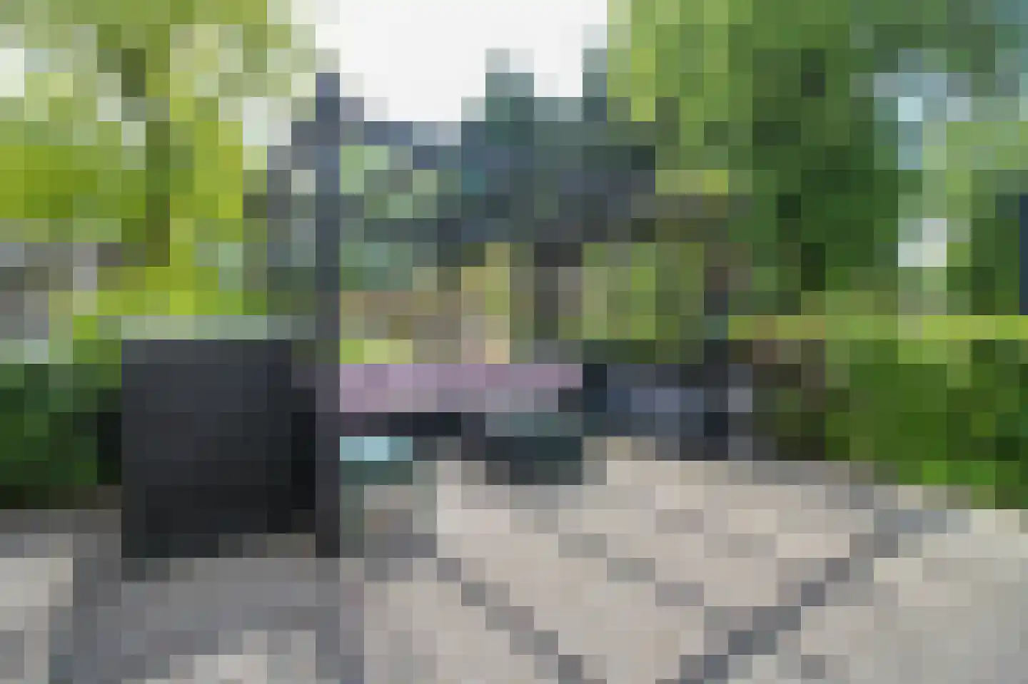 Kieftveen 30 92 Voorthuizen thumbnail 49