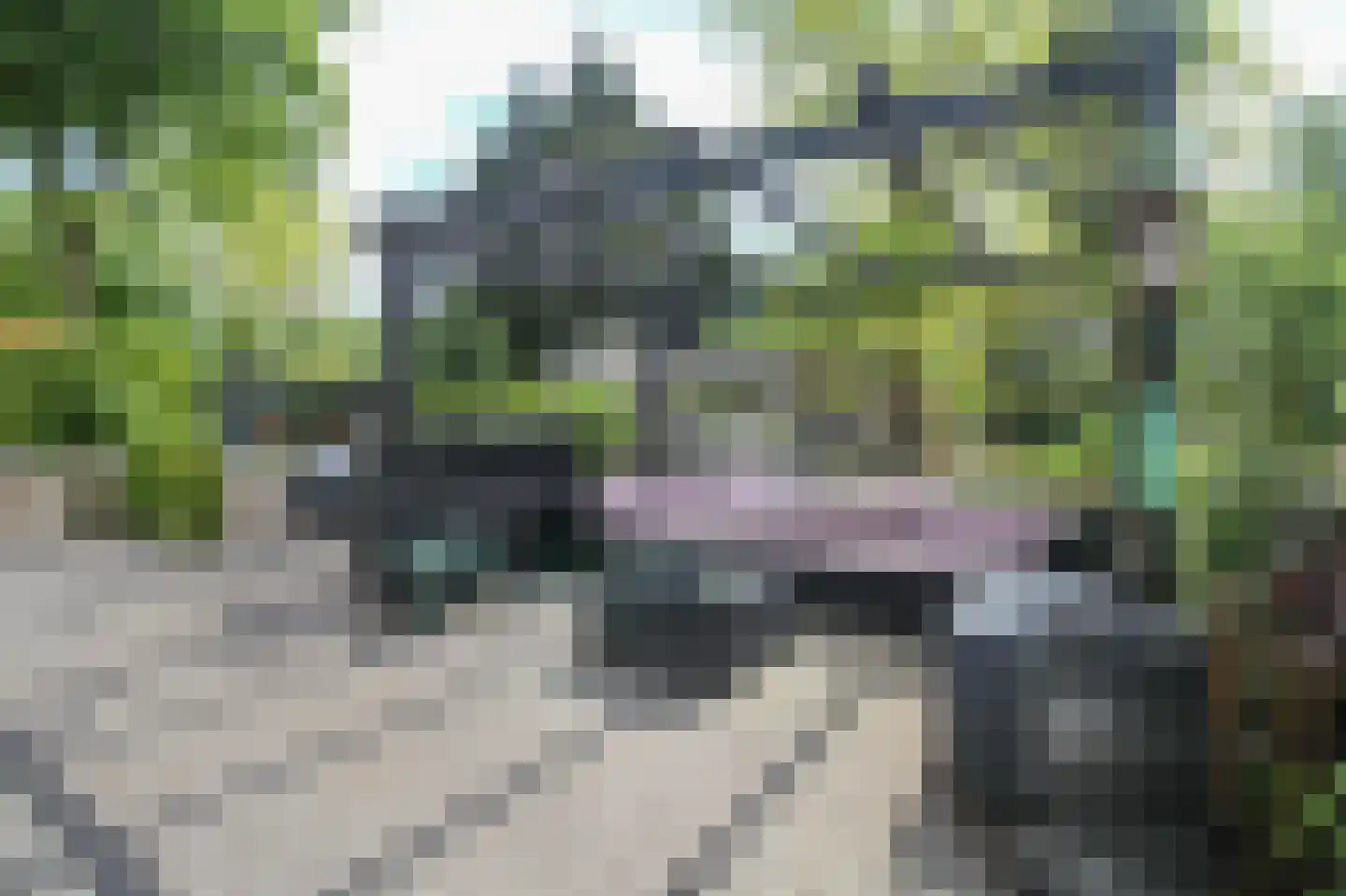 Kieftveen 30 92 Voorthuizen thumbnail 50
