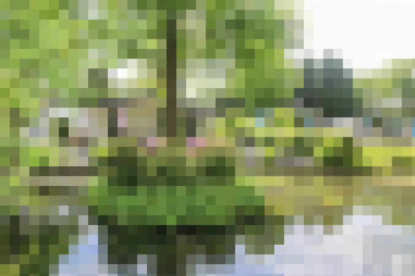 Kieftveen 30 92 Voorthuizen thumbnail 56
