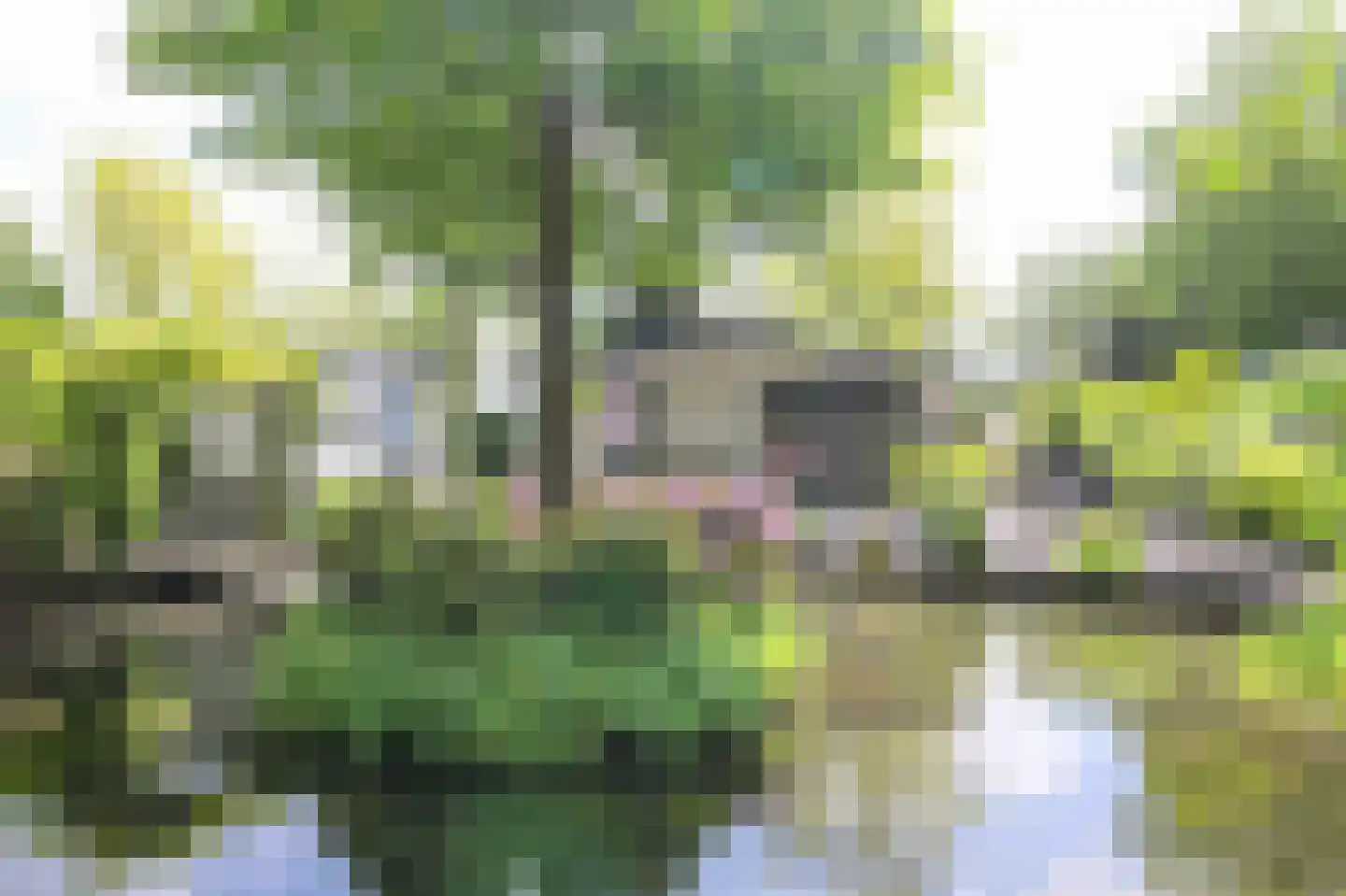Kieftveen 30 92 Voorthuizen thumbnail 57