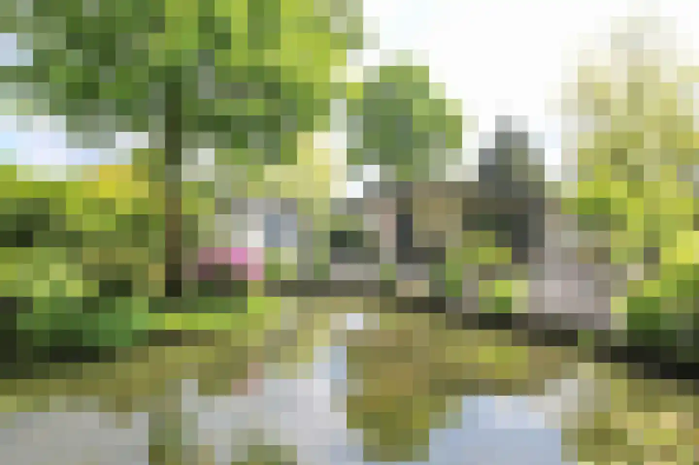 Kieftveen 30 92 Voorthuizen thumbnail 58