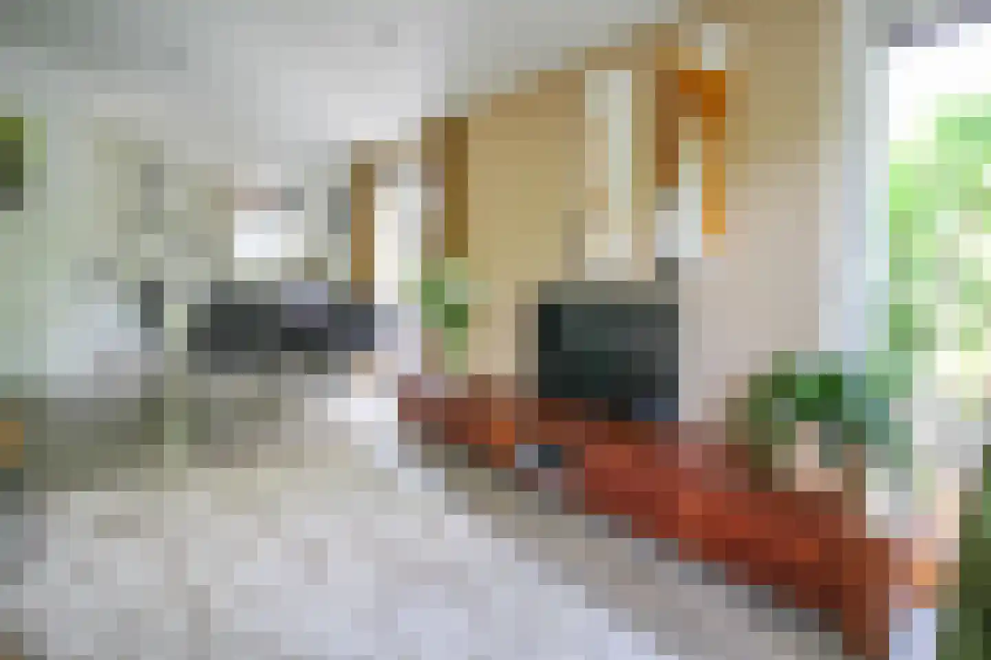 Kieftveen 30 92 Voorthuizen thumbnail 9