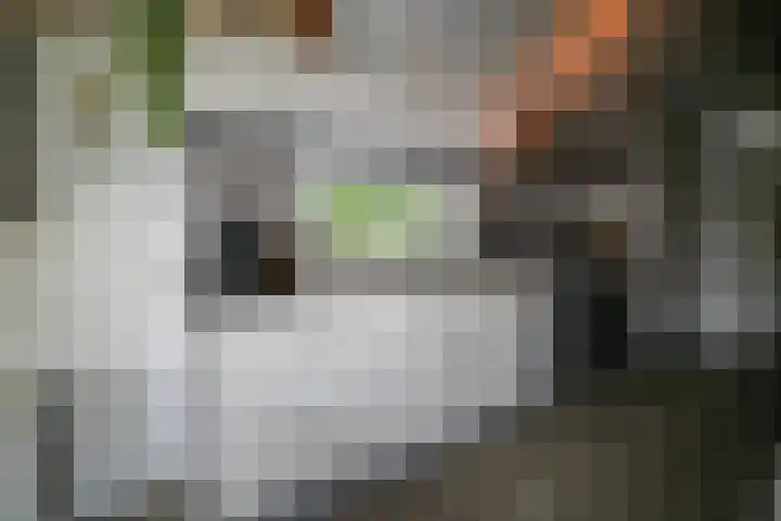 Kieftveen 30 922 Voorthuizen thumbnail 17