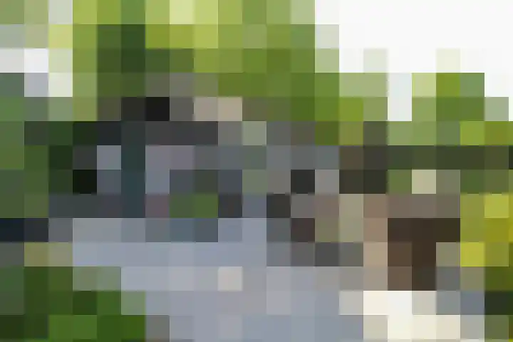 Kieftveen 30 922 Voorthuizen thumbnail 31