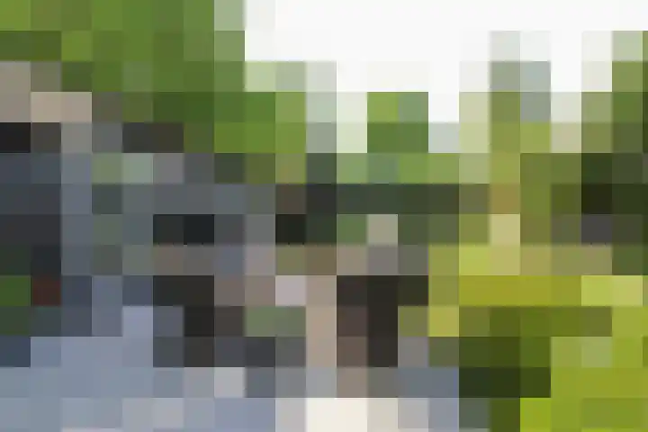 Kieftveen 30 922 Voorthuizen thumbnail 32