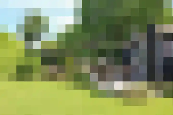 Kieftveen 30 922 Voorthuizen thumbnail 38