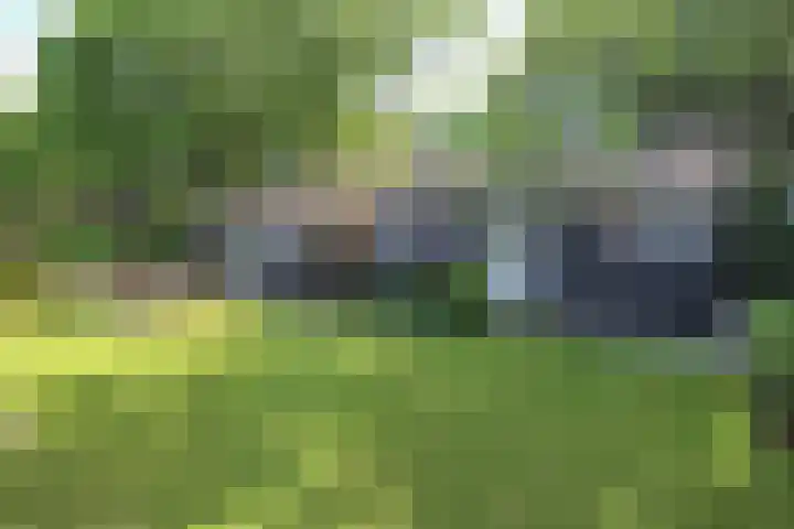 Kieftveen 30 922 Voorthuizen thumbnail 39