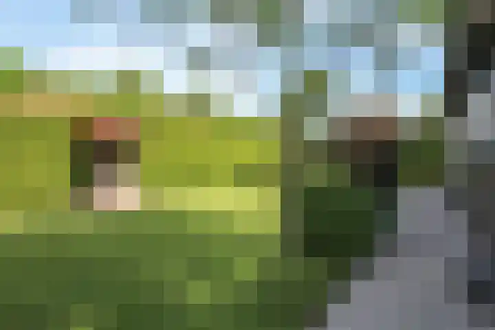 Kieftveen 30 922 Voorthuizen thumbnail 42