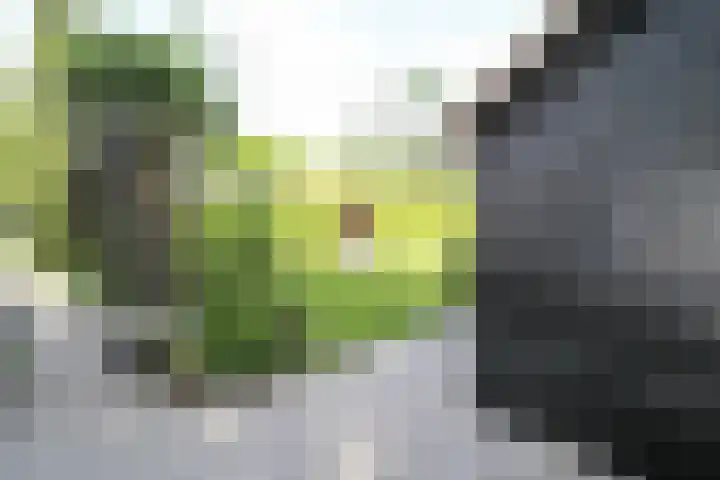 Kieftveen 30 922 Voorthuizen thumbnail 44