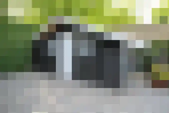 Kieftveen 30 922 Voorthuizen thumbnail 45