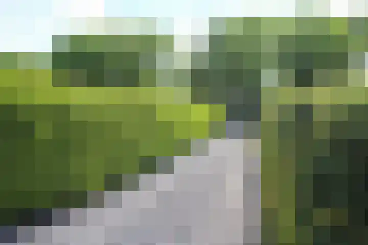 Kieftveen 30 922 Voorthuizen thumbnail 48