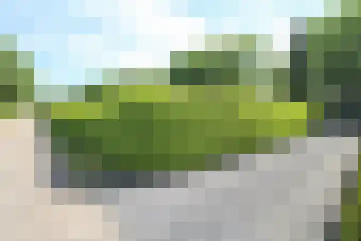 Kieftveen 30 922 Voorthuizen thumbnail 49