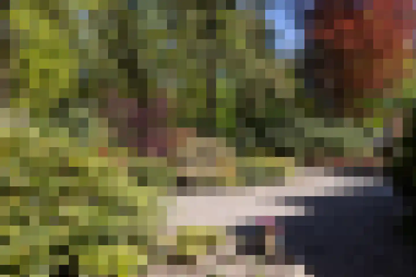 Kieftweg 15 Hierden thumbnail 101