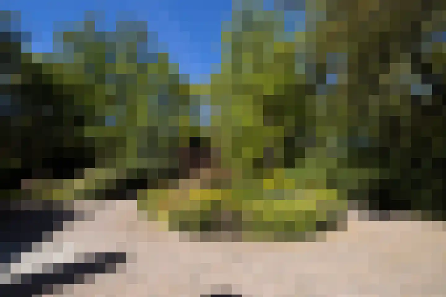 Kieftweg 15 Hierden thumbnail 102