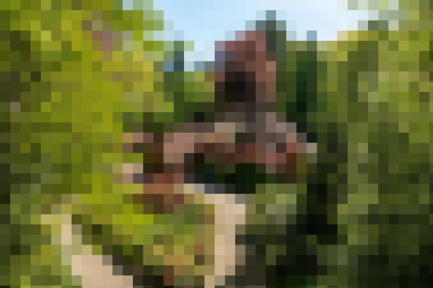 Kieftweg 15 Hierden thumbnail 103