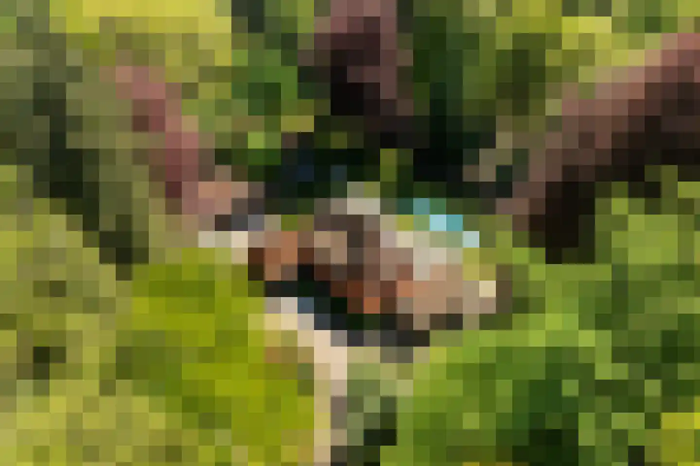 Kieftweg 15 Hierden thumbnail 104