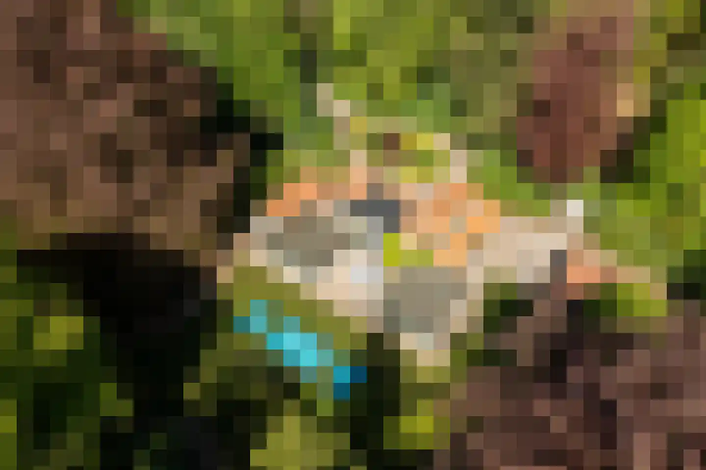 Kieftweg 15 Hierden thumbnail 106