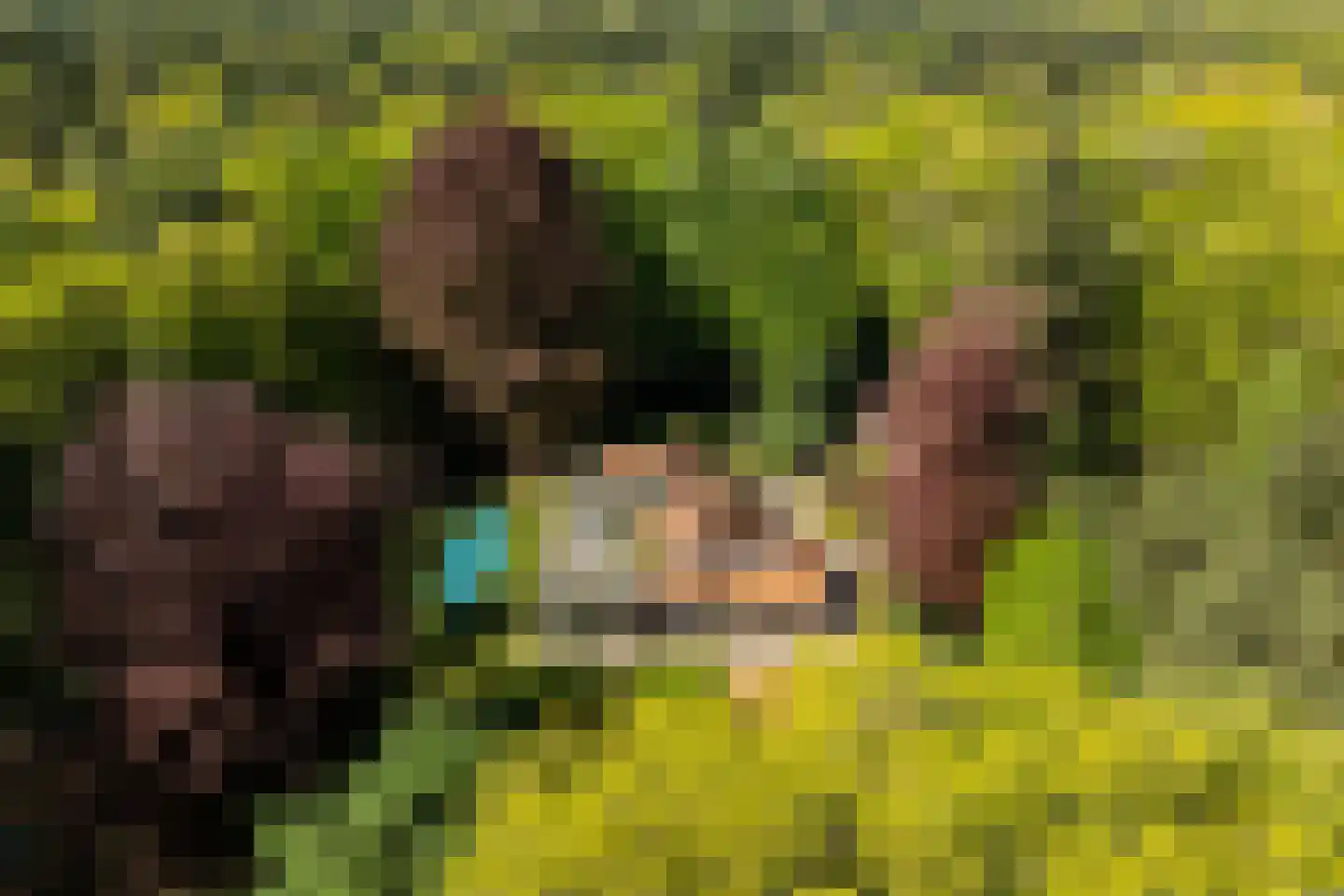 Kieftweg 15 Hierden thumbnail 107