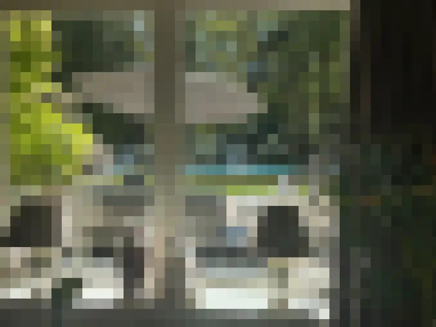 Kieftweg 15 Hierden thumbnail 12