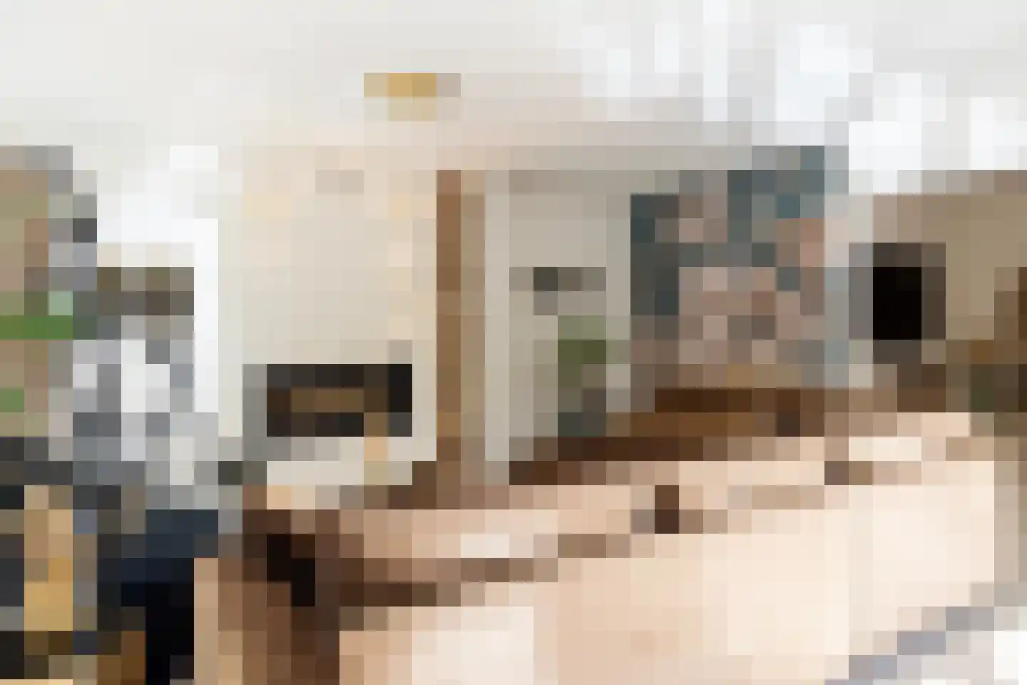 Kieftweg 15 Hierden thumbnail 19